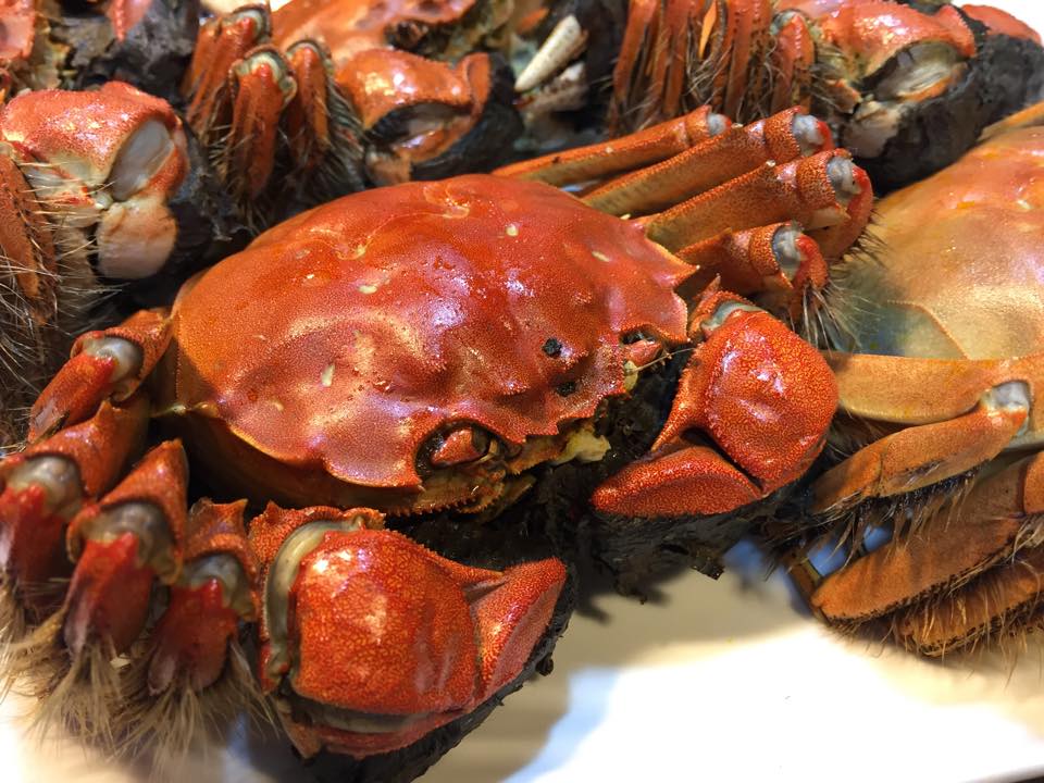 新江記極品大閘蟹